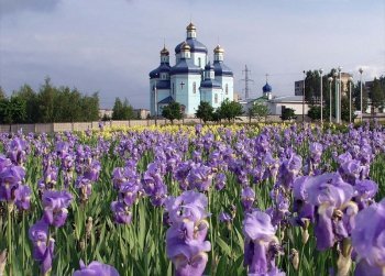 Прием металлолома Кривой Рог Прием металлолома Кривой Рог